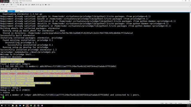 Privledge Walkthrough смотреть онлайн