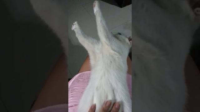 Очень сладкий сон))) смотреть онлайн