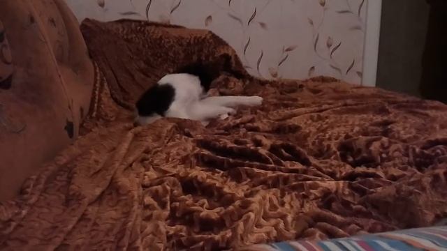 После кастрации. Где мои бубенчики смотреть онлайн