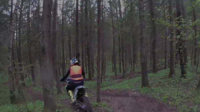 Карантин в лесу (конец мая 2020) смотреть онлайн