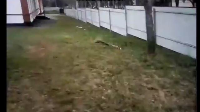 Мини-Топ 10 случаев игры в "Прятки" которые у всех были/\🙊🙀👍🐅🏃📅 смотреть онлайн