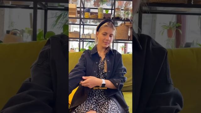 Растения для интерьера? #растения #интерьер #пальма смотреть онлайн