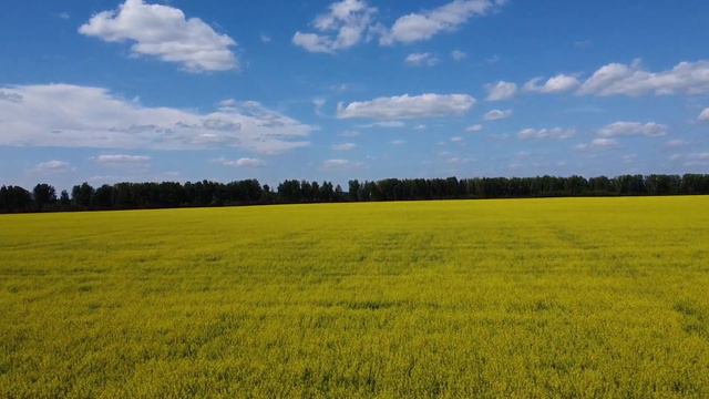 Тюмень - Екатеринбург смотреть онлайн