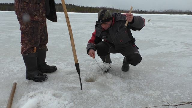 Рыбалка на жерлицы и донки в апреле. Ловля щуки, налима на живца. Пытаемся поймать окуня в непогоду смотреть онлайн