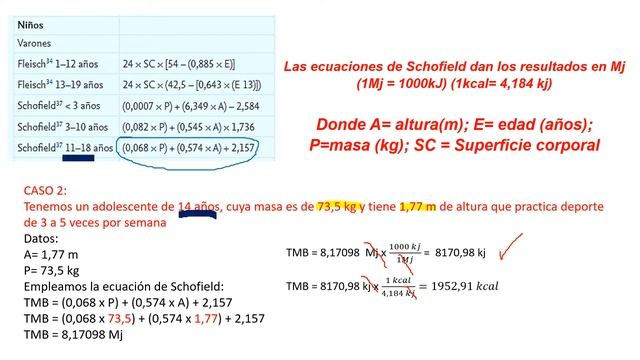 Cálculo del gasto energético total смотреть онлайн