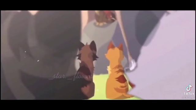 ~Подборка из тиктока~Коты воители. #1 смотреть онлайн