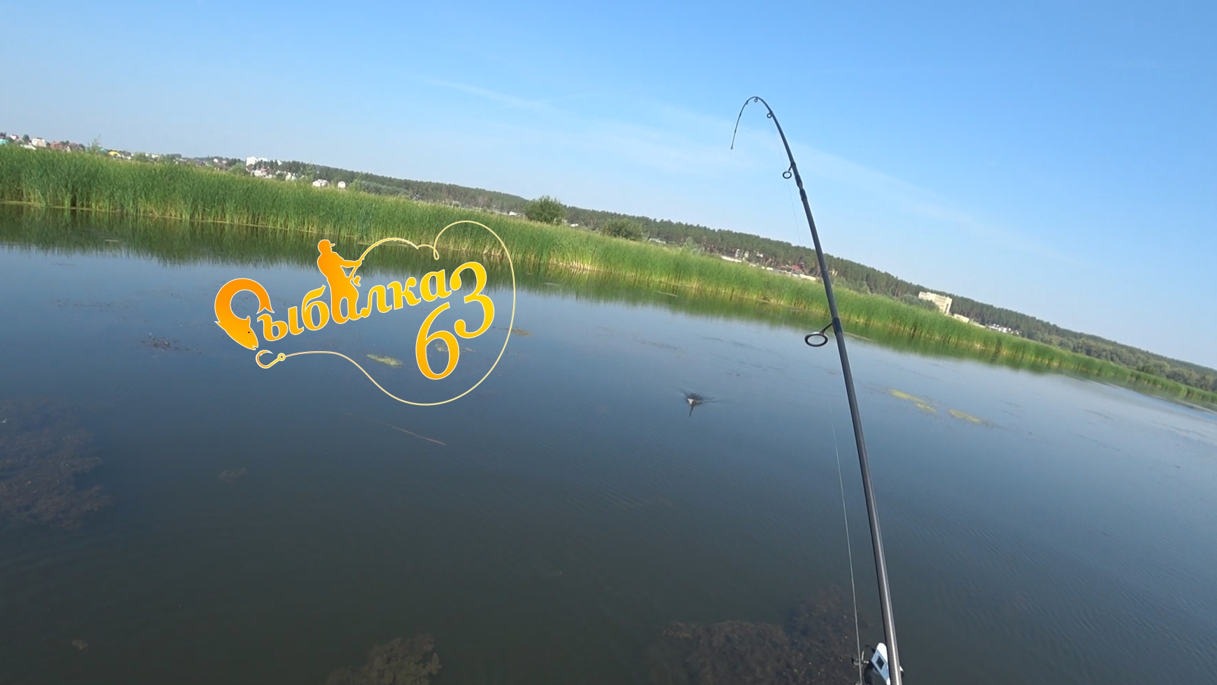 НАШЛИ КОТЕЛ С ОКУНЕМ И НАЧАЛОСЬ ВЕСЕЛЬЕ. Рыбалка в Августе на спиннинг смотреть онлайн