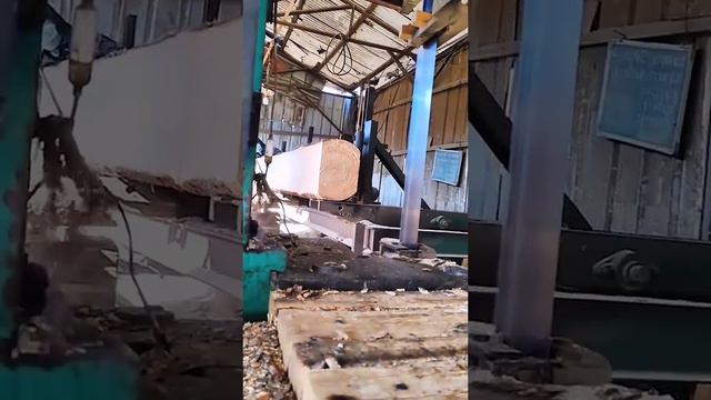 Wood Cutting #649 #wood #woodworkingtools #woodworking #woodworkingprojects #woodworkingart смотреть онлайн