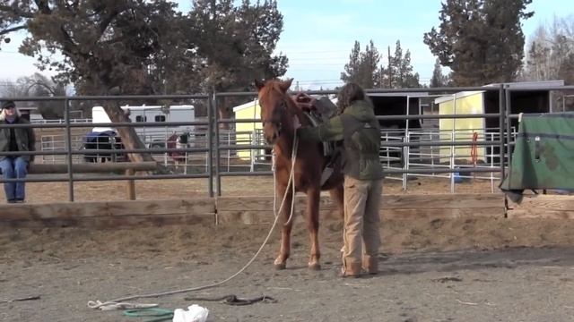 Java's First Time Undersaddle смотреть онлайн