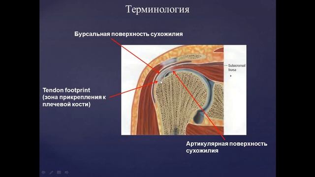 Антистрессовые завораживающие моменты