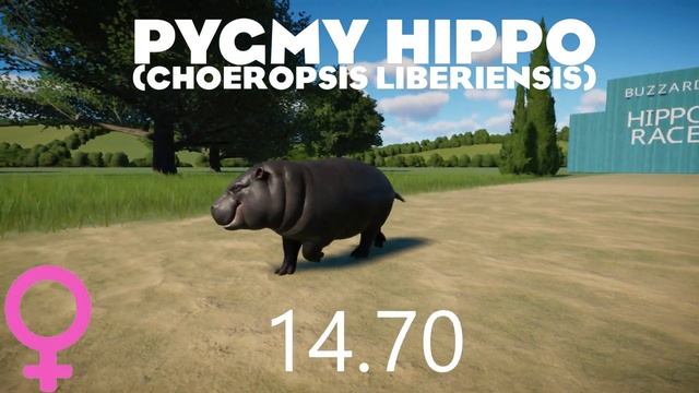 Hippopotamus Class Animal Race In Planet Zoo - Featuring Pygmy Hippo And River Hippo!