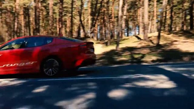 Kia Stinger наши впечатления смотреть онлайн
