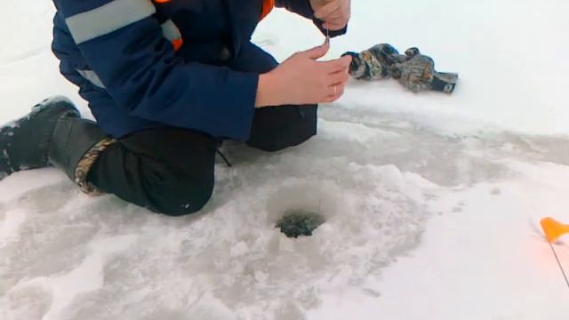 колян ловит смотреть онлайн