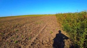 Охота на  КУРОПАТКУ!!!