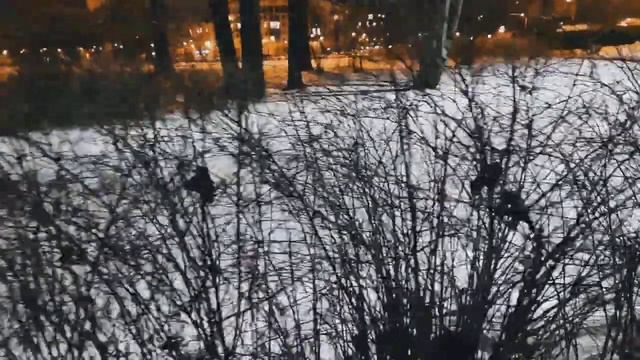 VID 20230301 211914 Макавити (Томас Эллиот)...Павел Васильев Лахтинский смотреть онлайн