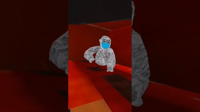 NO MORE MONKEYS ? JUMPING ON THE BED #gtag #mysingingmonsters #lightskinned #capuchin #jmancurly смотреть онлайн