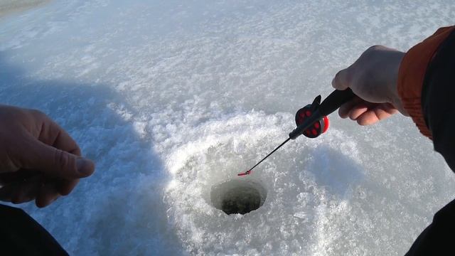 По Старым Лункам! Ловля Окуня на Блесну по "Последнему Льду"! смотреть онлайн