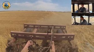 МТЗ 82 с БДТ на заделке соломы (лущение)