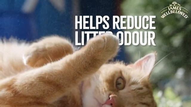 James Wellbeloved - Tailored Nutrition for Cats смотреть онлайн