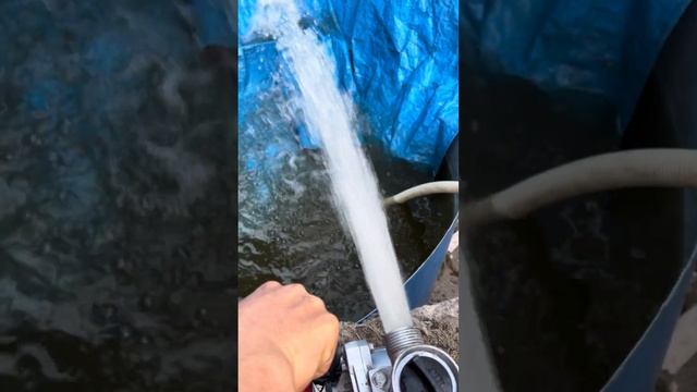 HonDa wx10 gx25 zalo 0822686656 смотреть онлайн