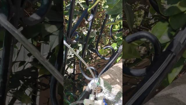 обратный осмос лайфхаки как не тратить деньги смотреть онлайн