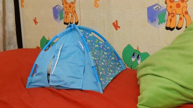 Весёлые игры котёнка с палаткой Пушинке 2 месяца и 5 дней Смешные домашние животные Забавный котено смотреть онлайн