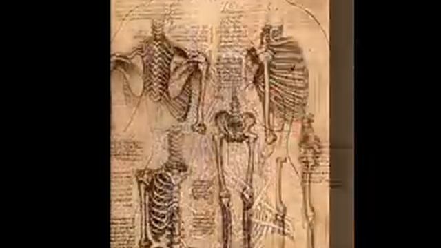 Leonardo da Vinci Paintings смотреть онлайн