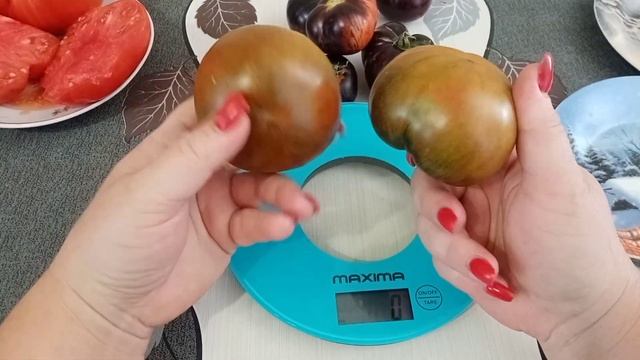 ?Дегустация томатов-Польская слива,Блю скай,Королева ночи(гном). смотреть онлайн