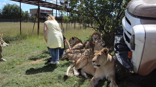 Такой фото-сессии можно только позавидовать ! смотреть онлайн