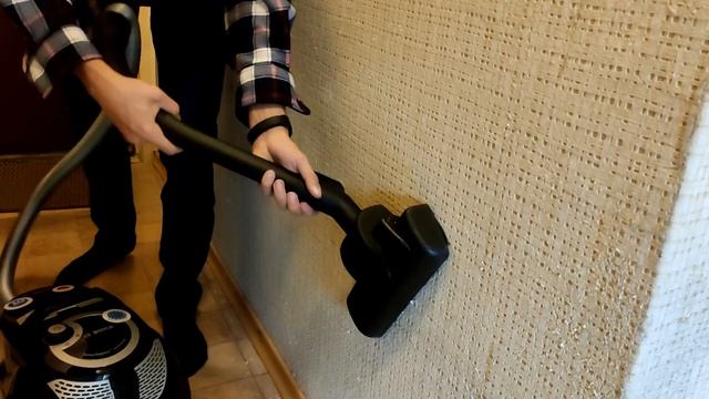 Кошки ободрали обои смотреть онлайн