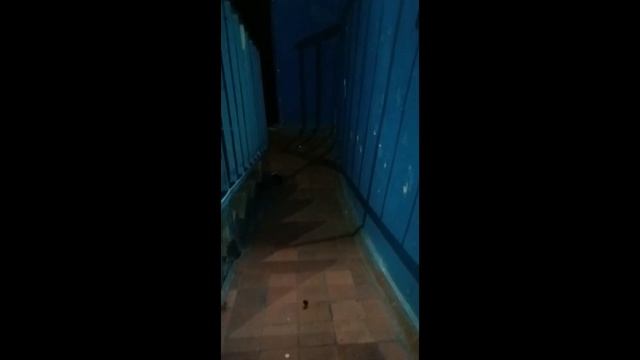 Краш тест манто с 9-го этажа! (жива?!) смотреть онлайн