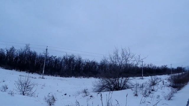 Он думал я пройду мимо...хитрый заяц. Охота с гончей. смотреть онлайн