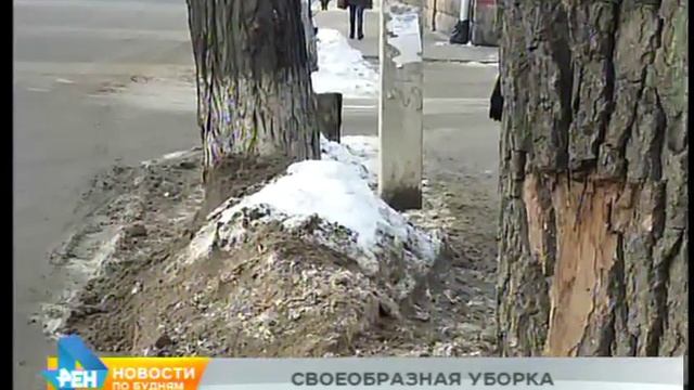 Народный корреспондент: деревья в грязном снегу смотреть онлайн