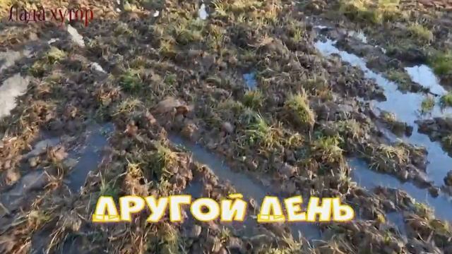 Пашем на адаптере #мотоблок#похать#адаптер#плуг# смотреть онлайн