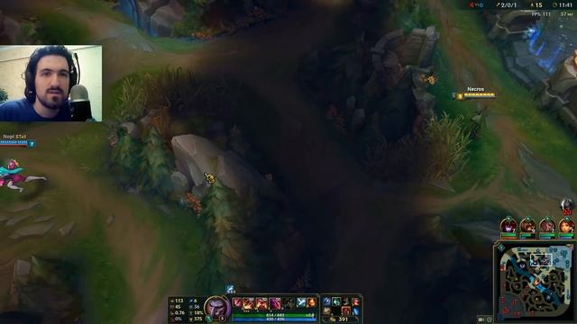 ЛЕСНОЙ ДЖОКЕР