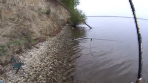 Ловля сома с берега на донки...