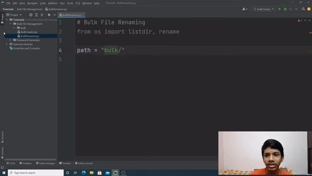 Creating a Bulk File Renamer In Python смотреть онлайн