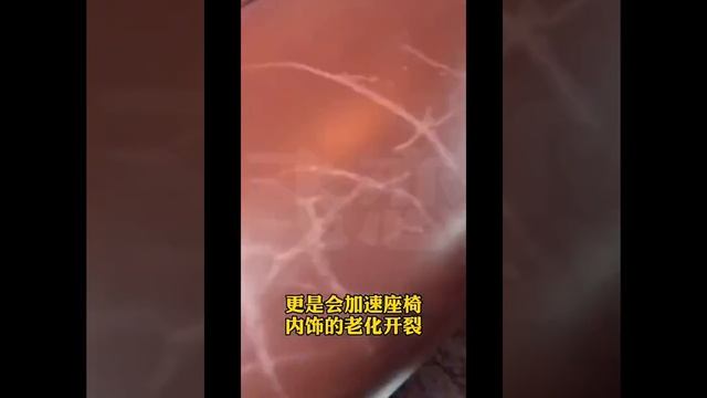 Солнцезащитный зонт для лобового стекла смотреть онлайн