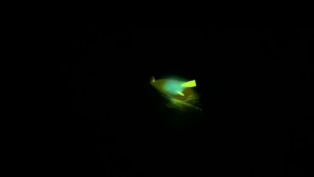 【間隔6ミリ以上】ちょっとした工夫でどれだけ隙間があっても対応出来ますtigwelding смотреть онлайн