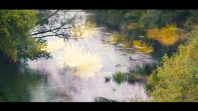 видео тест Sony A6000 + Helios 44m 7