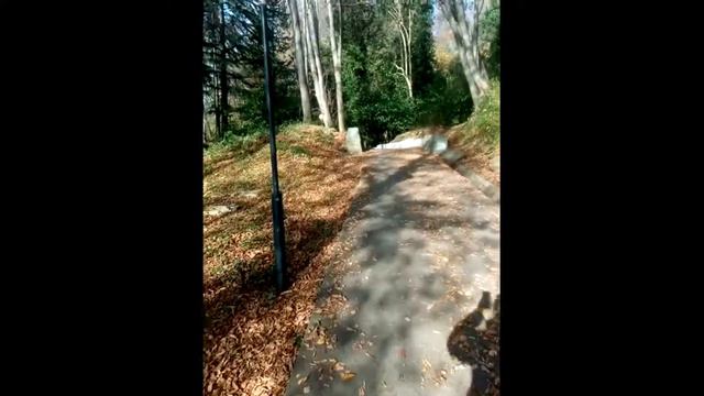 Терренкур. Тропа здоровья в Сочи. смотреть онлайн