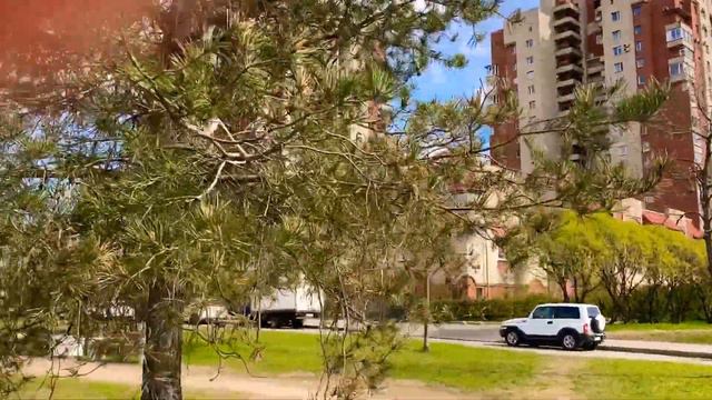 Вот такая прекрасная прогулка всем отличного дня 8.05.+12 Красота кругом смотреть онлайн