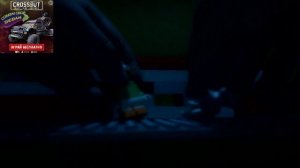 Дискотека животных