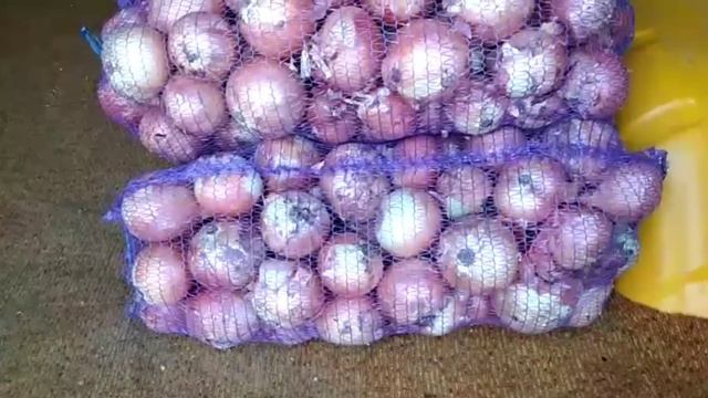 Ціни сьогодні Ринок Великі Копані Херсонська область 24 вересня. смотреть онлайн