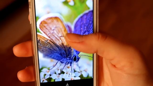 TAG: Что в моем телефоне?||What's on my IPhone 5S? смотреть онлайн