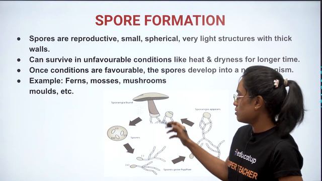 Reproduction in Plants | Class 7 Science Scamper | Chapter 12 | CBSE/NCERT @Educatup смотреть онлайн