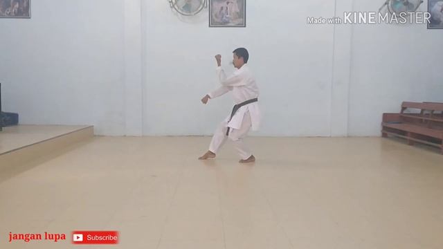 KATA PINAN 3 KUSHINRYU/KKI/KARATE смотреть онлайн