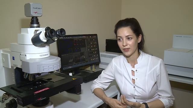 Как отправить ген в нокаут смотреть онлайн