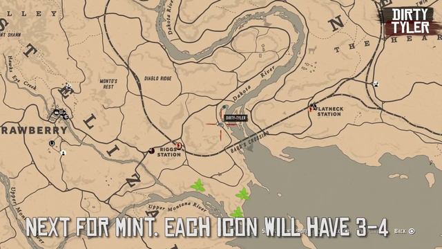 Daily Challenges: Wild Mint American Muskrat Geese & Succulent Fish Meat Locations Red Dead Online смотреть онлайн