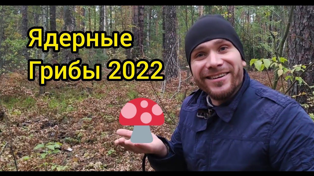 Заготовка грибов перед ядерной зимой смотреть онлайн